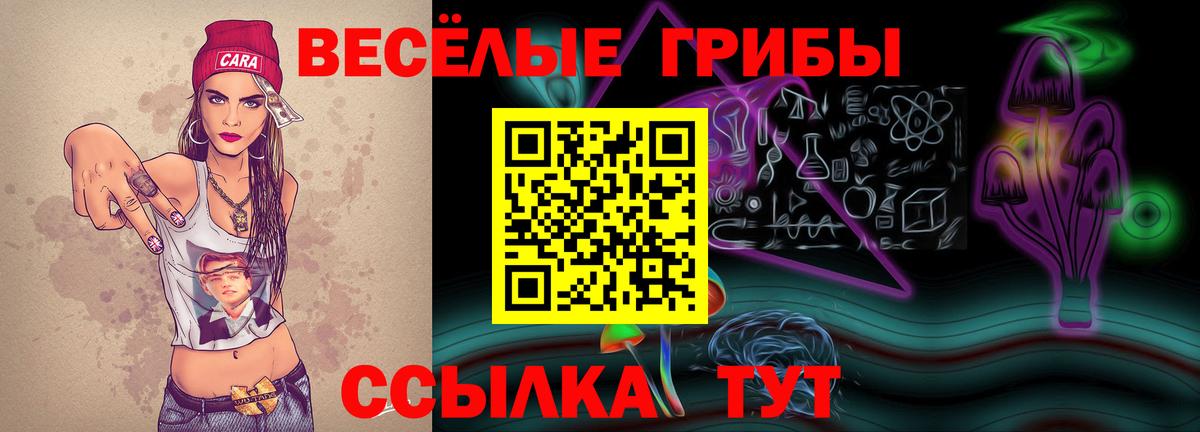Галлюциногенные грибы GOLDEN TEACHER  Вход с VPN  закладки  Сухой Лог 